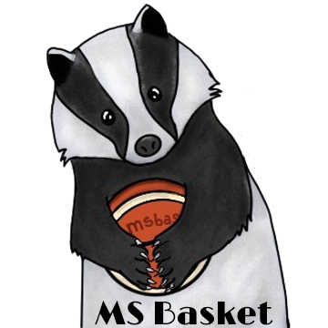 MSbasket
